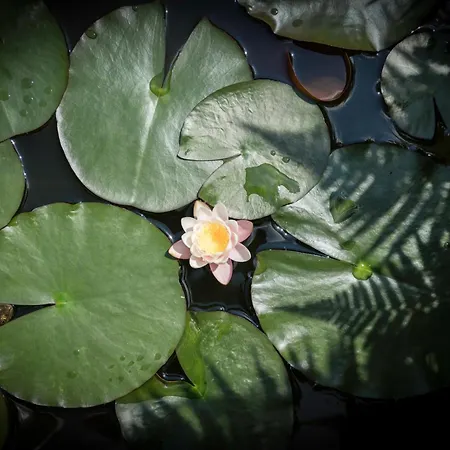 Draisina Bike Uno 아파트 *