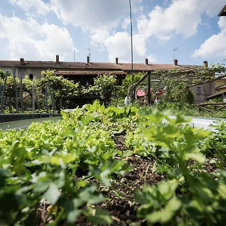 Draisina Bike Uno 올레기오카스텔로