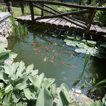 Draisina Bike Uno Oleggio Castello