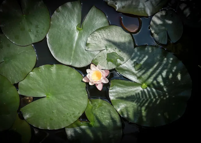 Draisina Bike Uno 아파트 *