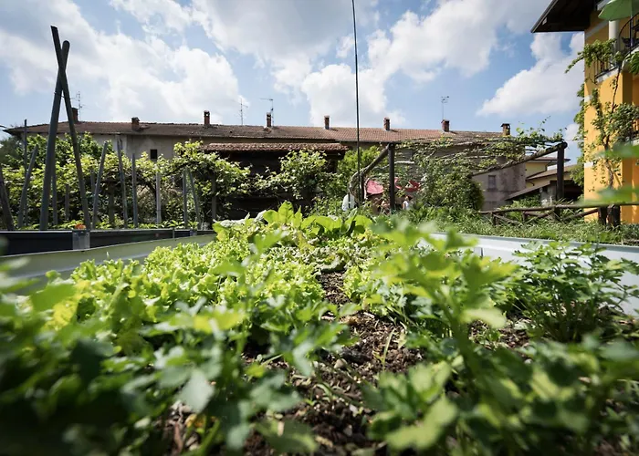 Draisina Bike Uno 올레기오카스텔로