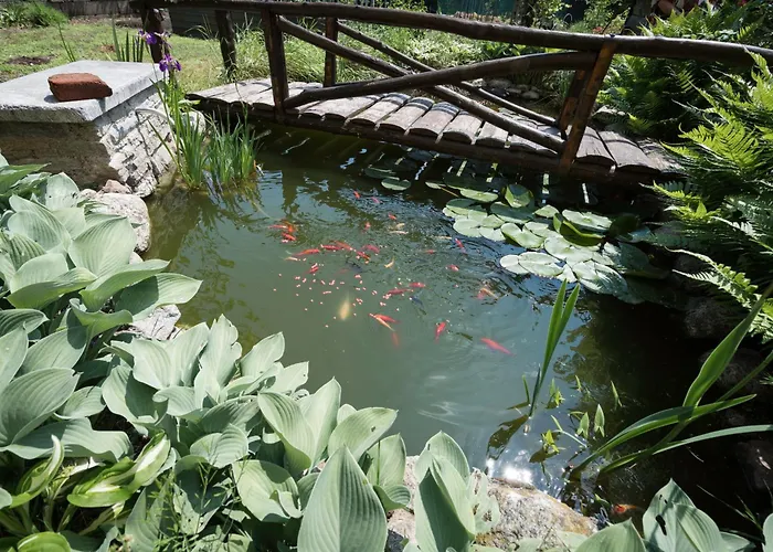 Draisina Bike Uno Oleggio Castello